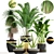 Luxury Indoor Plant Collection 3D model small image 1