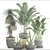 Luxury Indoor Plant Collection 3D model small image 3