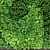 Green Wall Module: Vertical Garden Art 3D model small image 2