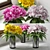 Blooming Beauties: Plants 4 3D model small image 1