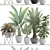 Exotic Plant Collection: Palm, Banana, Ficus 3D model small image 3