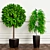 Lush Greens: PLANTS 16 3D model small image 1
