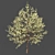 French Beauty: Prunus Avium Plena 3D model small image 2