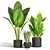 Tropical Green Trio: Bananna, Sansevieria & Palm 3D model small image 1