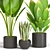 Tropical Green Trio: Bananna, Sansevieria & Palm 3D model small image 2