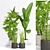 Greenery Collection: Banana, Sansevieria, Bamboo 3D model small image 1