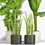 Greenery Collection: Banana, Sansevieria, Bamboo 3D model small image 2