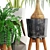 Indoor Greenery Collection 3D model small image 2