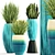 Green Oasis: Chlorophytum & Sansevieria Collection 3D model small image 1