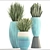 Green Oasis: Chlorophytum & Sansevieria Collection 3D model small image 3