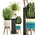 Indoor Plant Collection: Chlorophytum & Sansevieria 3D model small image 1