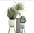 Indoor Plant Collection: Chlorophytum & Sansevieria 3D model small image 3