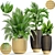 Tropical Plant Mix: Areca Palm, Howea, Kentia, Phoenix 3D model small image 1