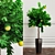 Beautiful Decorative Trees 3D model small image 1