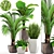 Green Haven: Beautiful Indoor Plant Collection 3D model small image 1