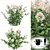 Hydrangea Paniculata | Hortel Library 3D model small image 1
