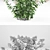 Hydrangea Paniculata | Hortel Library 3D model small image 3