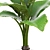 Exotic Alocasia: Large Root|Pot, Indoor Plant 3D model small image 2