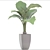 Exotic Alocasia: Large Root|Pot, Indoor Plant 3D model small image 3