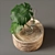 Weylandts Runo Table - Contemporary H 360mm Design 3D model small image 5