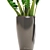 Zamioculcas Collection: Stunning Interior Plants 3D model small image 2