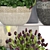 193 Plant Collection - Capi Europe Pots 3D model small image 2