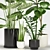 Exquisite Indoor Plant Collection 3D model small image 2