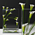 Luxury Lily Glass Vase 3D model small image 1