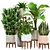 Indoor Plant Collection: Sansevieria, Schefflera, Dracaena, Agave 3D model small image 1