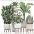 Indoor Plant Collection: Sansevieria, Schefflera, Dracaena, Agave 3D model small image 3