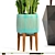 Indoor Plant Collection: Sansevieria, Schefflera, Zamioculcas 3D model small image 2