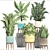 Indoor Plant Collection: Sansevieria, Schefflera, Zamioculcas 3D model small image 3