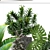 Green Oasis Collection: Dracaena, Monstera, Ravenala and Ficus 3D model small image 2