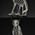 Turkish Angora 3D Model with Skeleton: Lifelike and Detailed 3D model small image 3