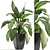 Dieffenbachia: Stylish Indoor Plant 3D model small image 1