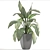 Dieffenbachia: Stylish Indoor Plant 3D model small image 3