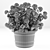 Hortense Hydrangea: Lifelike Plant Decoration 3D model small image 2