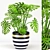 Monstera in Stylish Pot 3D model small image 1