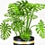 Monstera in Stylish Pot 3D model small image 2