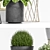 DuoPlanter - Modern Plant Set 3D model small image 2