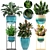 Tropical Plant Collection: Croton, Codiaeum, Dracaena, Alocasia, Ficus, Tradescantia 3D model small image 1