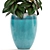 Tropical Plant Collection: Croton, Codiaeum, Dracaena, Alocasia, Ficus, Tradescantia 3D model small image 2