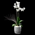 White Orchid Flower Decorative Pot 3D model small image 1