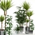 Botanical Bliss: 90 Plant Collection 3D model small image 1