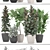 Lush Ficus Collection: Robusta, Elastica & Lyrata 3D model small image 3