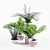 Tropical Greenery: 3 Palm & 2 Fern 3D model small image 2