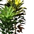 Tropical Elegance: Cordyline & Codiaeum 3D model small image 2