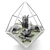 EcoSphere Glass Terrarium 3D model small image 3