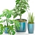 Fresh Greenery Set with Color Vase 3D model small image 2