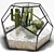 Modern Glass Florarium 3D model small image 1